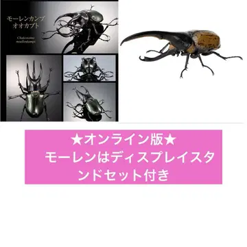 생물대도감 어드밴스 모렌캄프 오오가부토 500엔 헤라클레스 리키