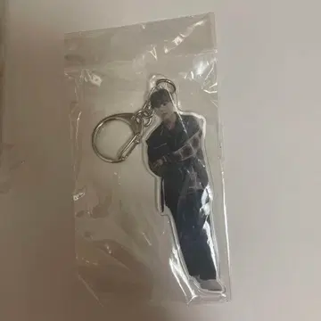 BUDDiiS KEVIN WiiNTER LAND 아크링 키링