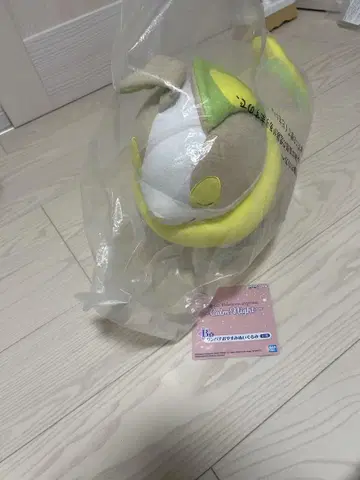 포켓몬 원파치 봉제 인형