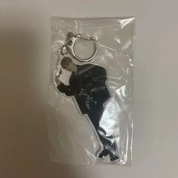 BUDDiiS SEIYA WiiNTER LAND 아크링 키링