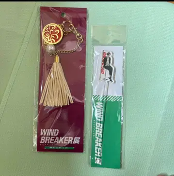 윈브레 전 태슬풍 키링 소방슌비 마들러 세트