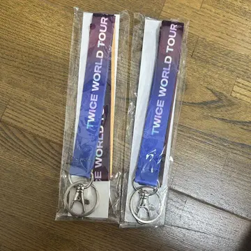 TWICE WORLD TOUR 2019 넥스트랩 사나 지효