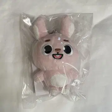 원필 백 참 PIL DAY6