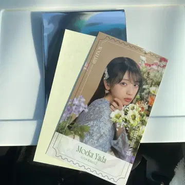 노기자카46 전 투어 2025 B상 노기메쿠리 스티커 야다 모에카