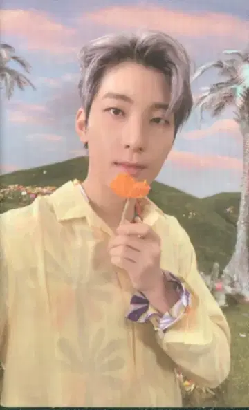SEVENTEEN SECTOR 17 WONWOO 트레이딩 카드 노랑