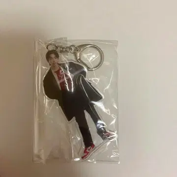 BUDDiiS SHOOT WiiNTER LAND 아크링 키링