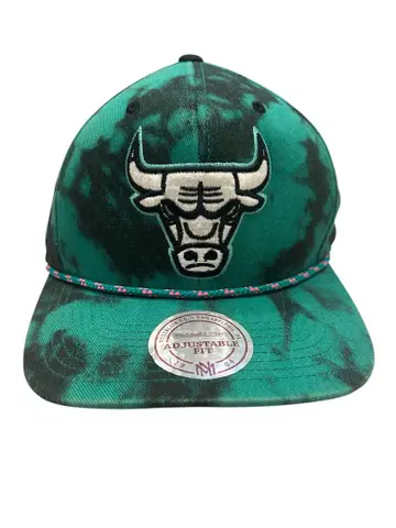 Chicago Bulls 타이다이 캡 그린