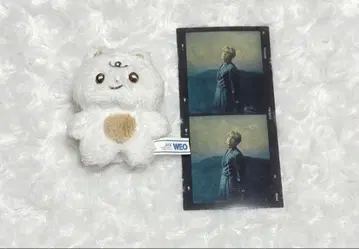 THEBOYZ 현재 봉제 인형
