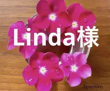 Linda 님 브라이스 아이 칩