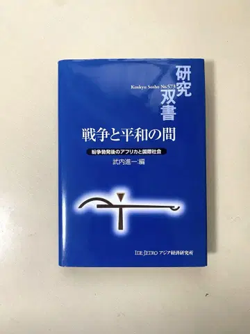 전쟁과 평화 사이 분쟁 발발 이후의 아프리카와 국제 사회