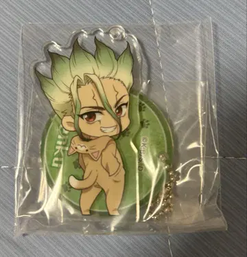 Dr.STONE 아크릴 스탠드 고양이 귀 이시가미 치쿠