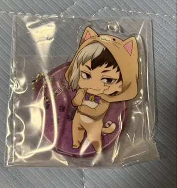 Dr.STONE 아크릴 스탠드 고양이 귀 아사기리 겐