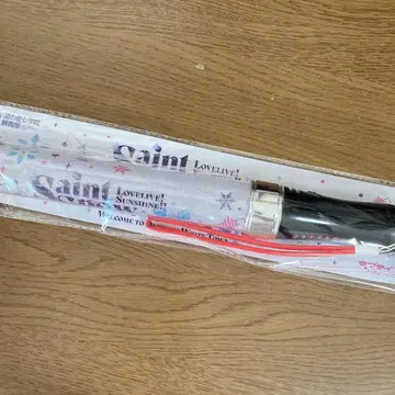 Saint Snow 1st GIG 블레이드