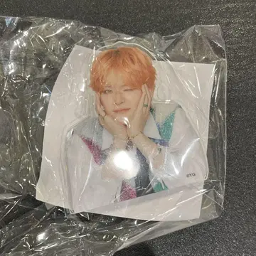 TREASURE 캡슐 토이 클립 요시 popup