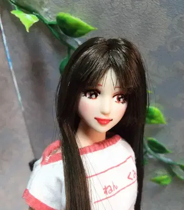 1/6 인형 헤드 오비츠 헤드 오비츠 모발 이식 헤드 커스텀 인형
