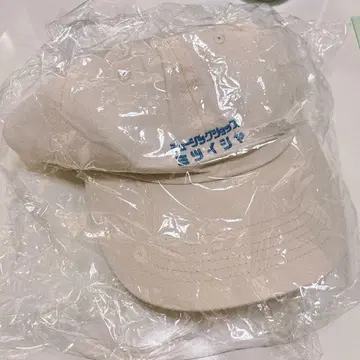 포르노그라피티 섬 전체 전시회 미쓰이시야 캡