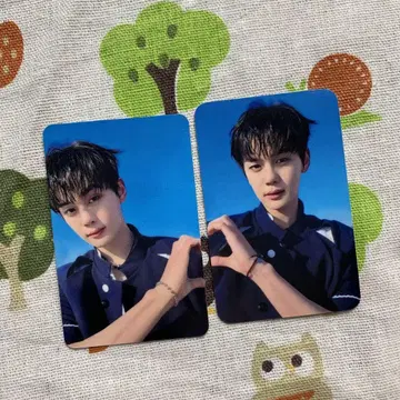 ZB1 제베원 사노쿠 SWEAT 김규빈 사전 녹화 2장 트레이딩 카드