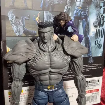 토구로 형이 함께 S.H.Figuarts 유유백서 토구로 남동생 100%