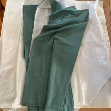 그린 컬러 호몬기