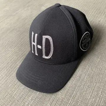 하레 Davidson 플렉스 핏 캡