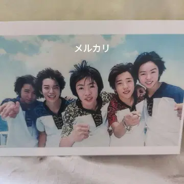 아라시 사진 10장