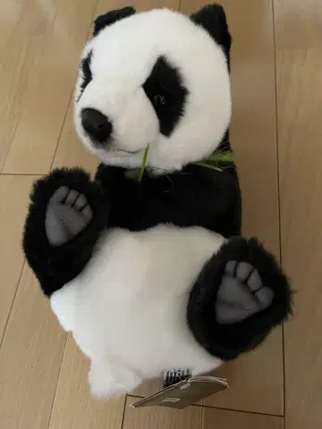 대만 팬더 봉제 인형 Hansa