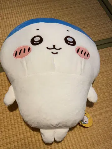 스포츠 컷 하치와레 BIG 봉제 인형