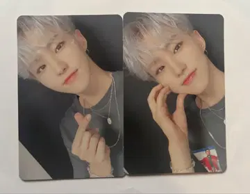 SEVENTEEN 호시 춤추는 꽃잎 초회 한정판 C판 트레이딩 카드