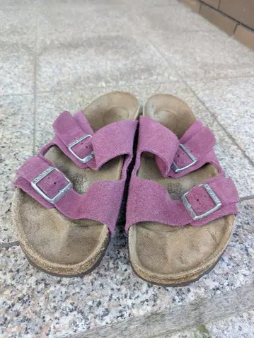 BIRKENSTOCK ARIZONA 퍼플
