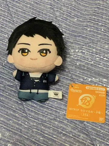 18TRIP SD 인형 ~저녁반~ 키노우치 타오 남코 한정판
