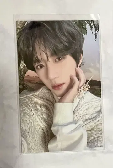 txt 대만 모아 존 트레이딩 카드 봄규
