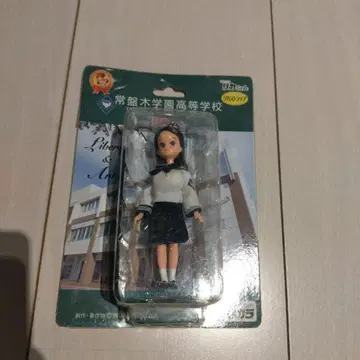 리카짱 인형 토키와기 학원 고등학교 여름옷