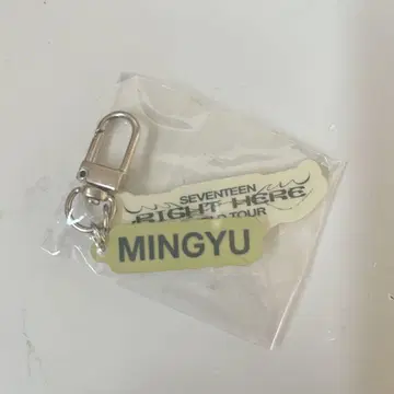 SEVENTEEN MINGYU RIGHT HERE TOUR 키링
