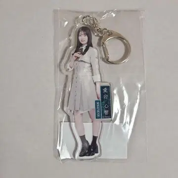 아타고 코코로 노기자카46 개별 전신 아크릴 키링/네이블 오렌지