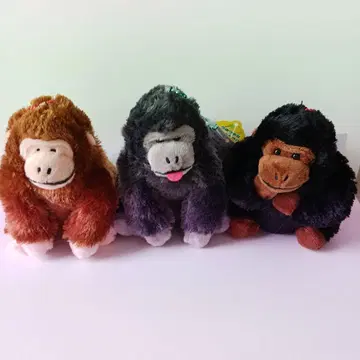 우호호 고릴라의 고리군, 한가롭게