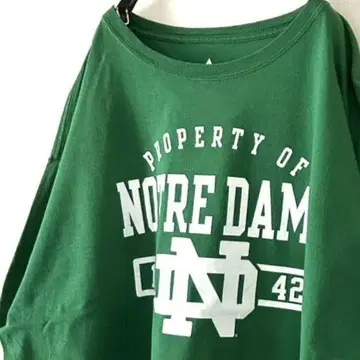 노트르담 NOTRE DAME 티셔츠 2XL 그린 그린 구제 의류