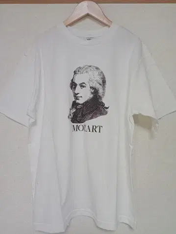 THE SHINZONE/신존 음악가 TEE MOZART TEE