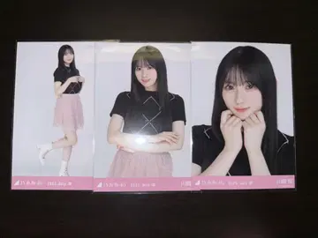 노기자카46 브로마이드 가와사키 벚꽃