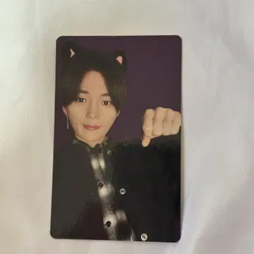 TAIKIMAGAZINE 트레이딩 카드 야기 유세이
