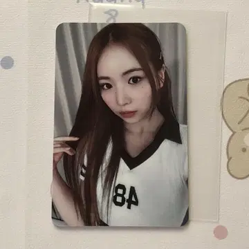 NiziU HEARTRIS 올 출석 한정판 마야 사노쿠 트레이딩 카드