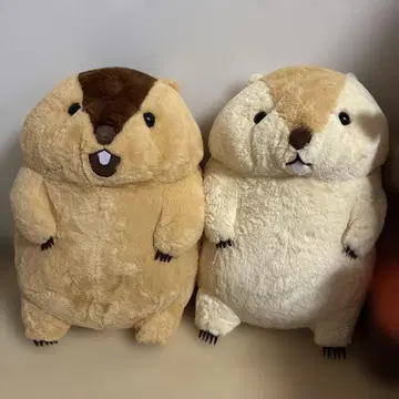 통통 마모트 봉제 인형 marmot 마모트의 모토토