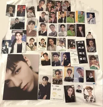 Seventeen 세부치 버논 세트