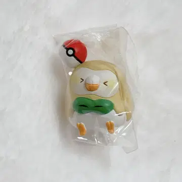 포켓몬 유루토