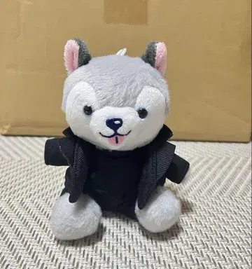 노킹 온 락 도어 노키도어 도리이 개 마쓰무라 호쿠토