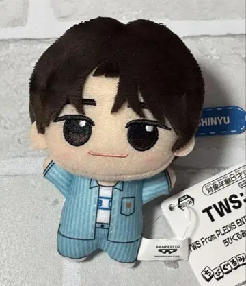 TWS SD 인형 SHINYU (시뉴) SHINYU 시뉴 신유 TWS