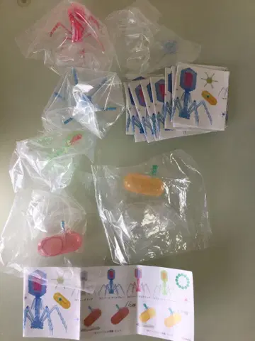 사이언스 테크니컬러 T4 파지
