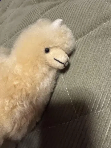 알파카 봉제 인형