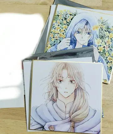 색지 기자 스완 꽃과 꿈 전 새벽의 연화