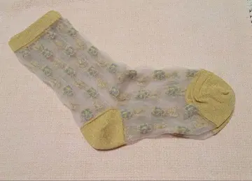 안티파스토 양말 비침 있음
