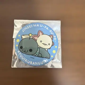 교육 방송 캔뱃지 파랑